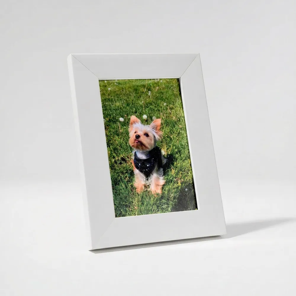 Cuadro Mi mejor foto, con la foto de un perro en marco blanco