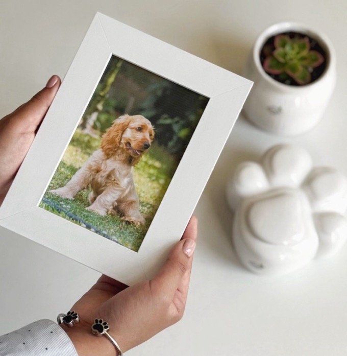 Cuadro con la foto de un perro y la urna de cerámica de Regazo