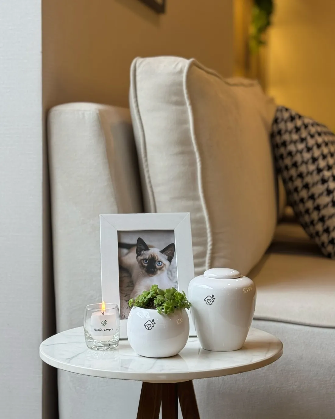 Urna con cenizas y recuerdos para honrar a tu mascota