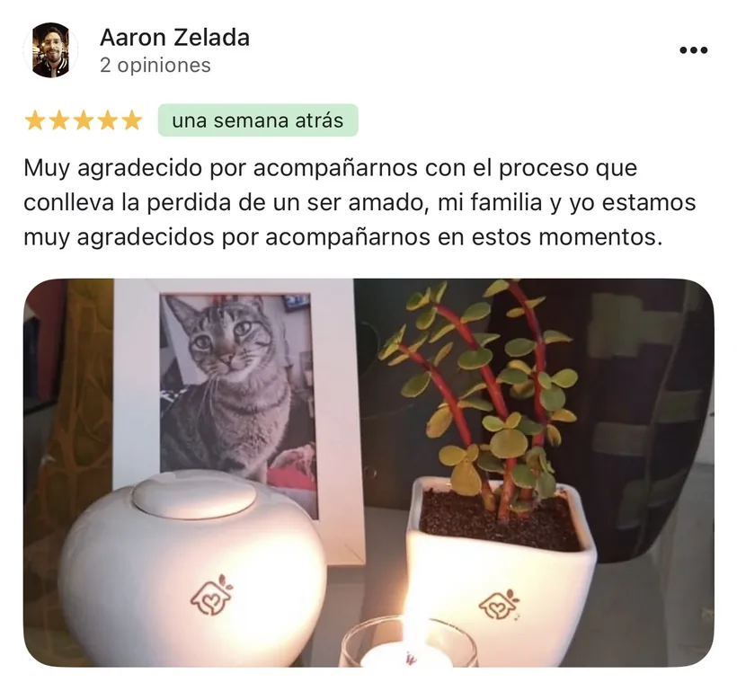 Reseña de Aaron Zelada en Google sobre la cremación de su mascota en Regazo