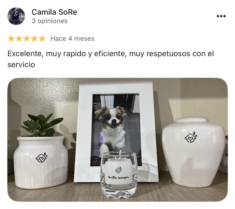 Reseña de Camila SoRe en Google sobre la cremación de su mascota en Regazo
