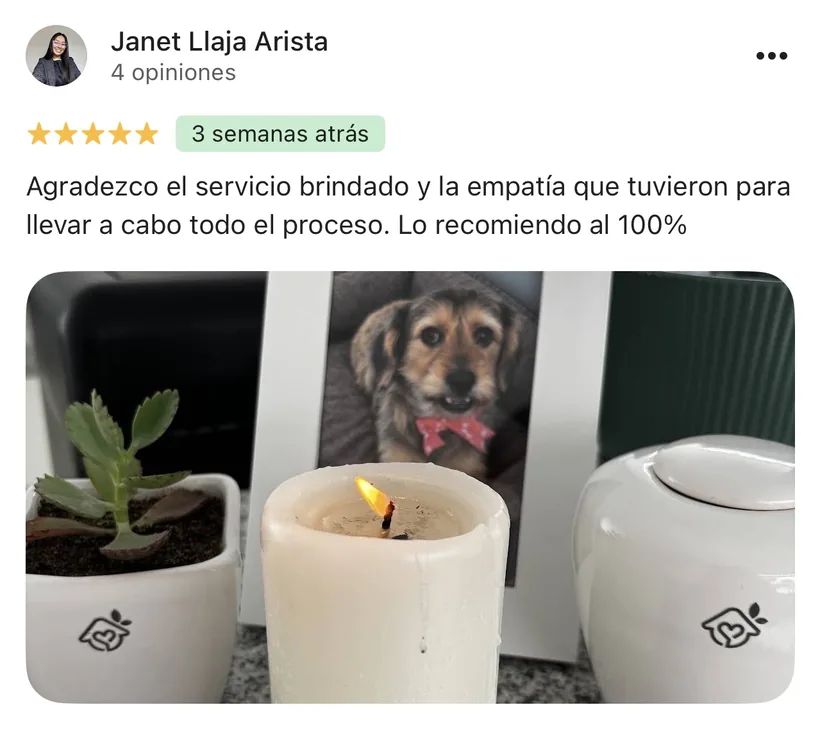 Reseña de Janet Llaja Arista en Google sobre la cremación de su mascota en Regazo