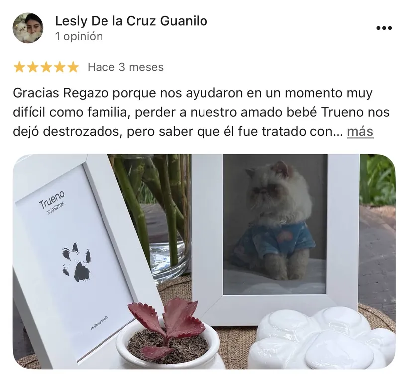 Reseña de Lesly De la Cruz Guanilo en Google sobre la cremación de su mascota en Regazo