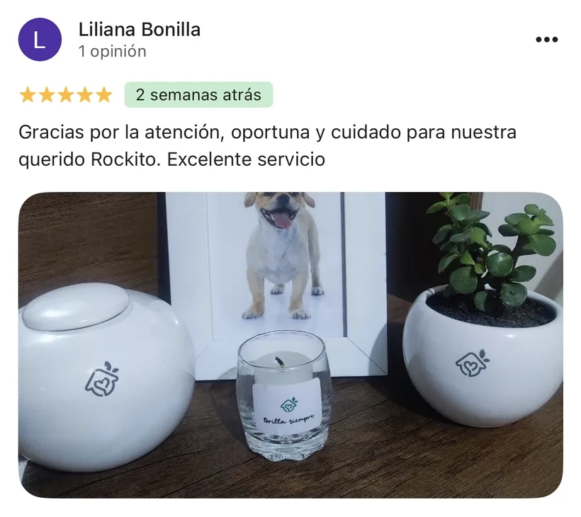 Reseña de Liliana Bonilla en Google sobre la cremación de su mascota en Regazo