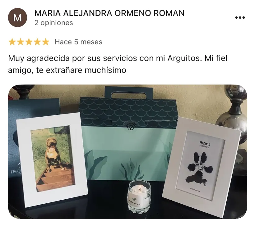 Reseña de Maria Alejandra Ormeño Roman en Google sobre la cremación de su mascota en Regazo