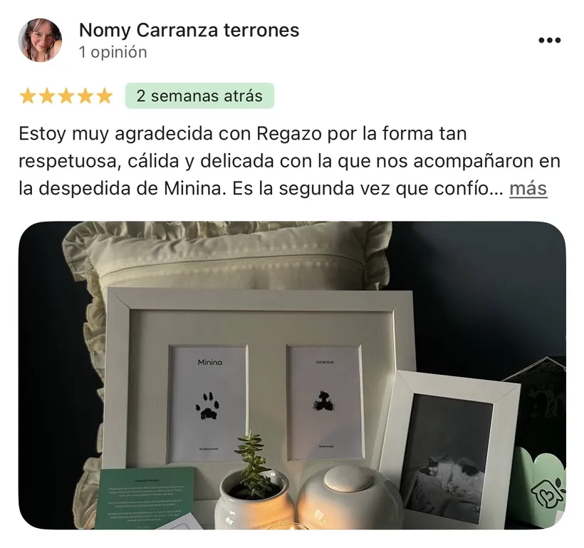 Reseña de Nomy Carranza Terrones en Google sobre la cremación de su mascota en Regazo