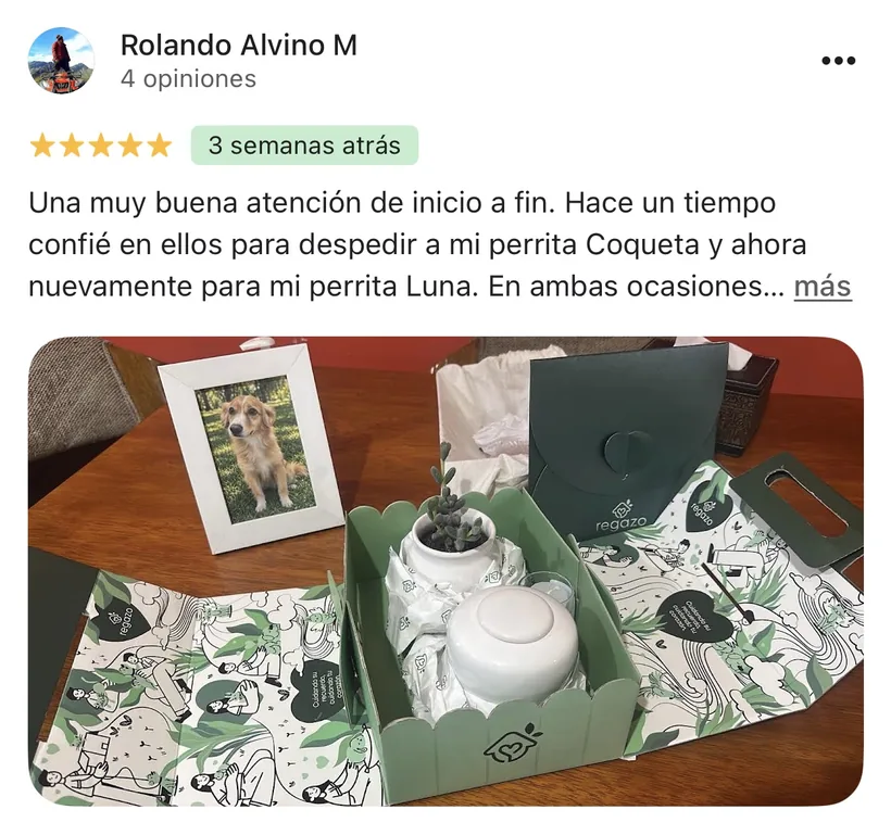 Reseña de Rolando Alvino M en Google sobre la cremación de su mascota en Regazo