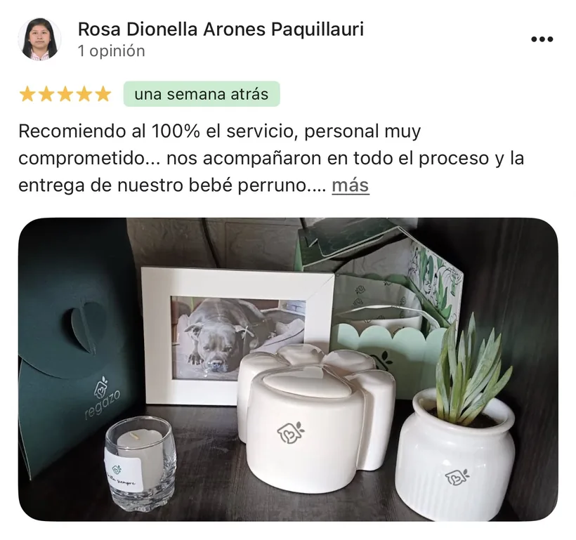 Reseña de Rosa Dionella Arones Paquillauri en Google sobre la cremación de su mascota en Regazo